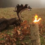 Resized_received_1865682890127187