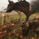 Resized_received_1865683013460508