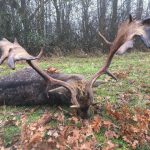 Resized_received_1865683390127137